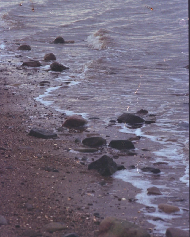 Coastline in Colour