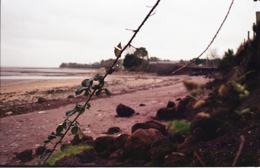 Coastline in Colour