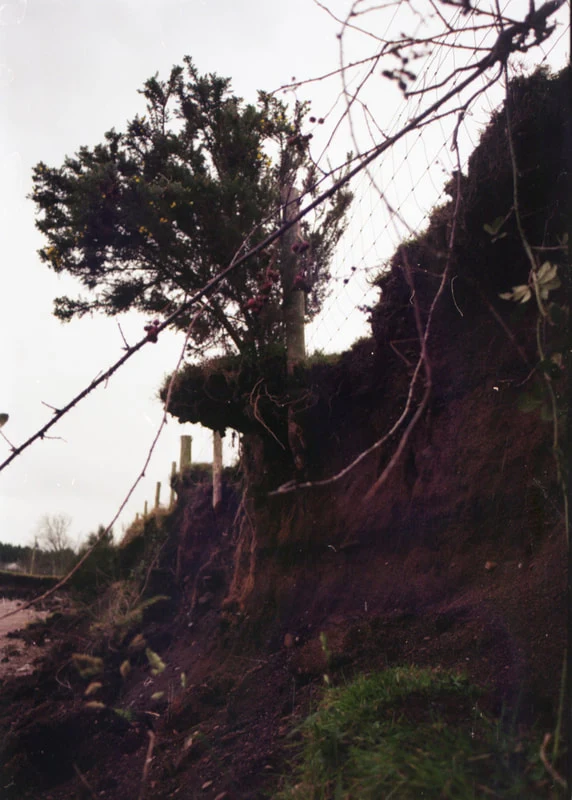Coastline in Colour